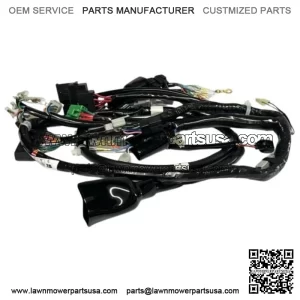 HONDA WIRING WIRE HARNESS 2006 - 2023 RUCKUS NPS50 New 32100-GEZ-610